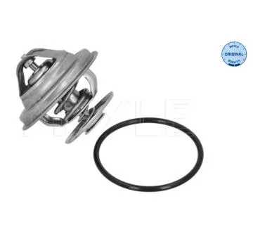 elancar-120260630174234488175