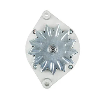 elancar-120260701052910751966