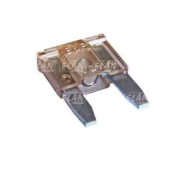 elancar-120260701094824841567