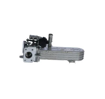 elancar-420260630214650576738