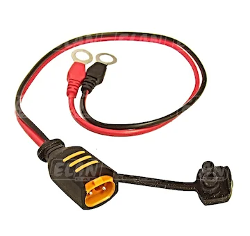 elancar-620260630234114621067