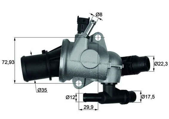 motora-620260630162731467704
