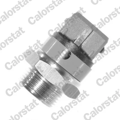 motora-620260630192645528827