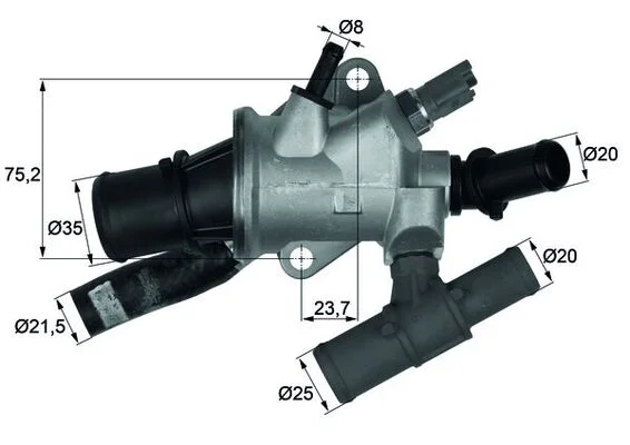 motora-620260630215829581192