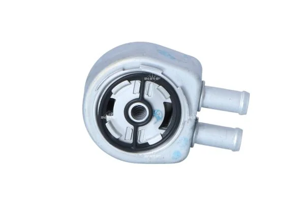 motora-620260630221438587446