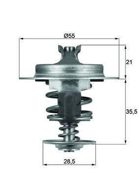 motora-620260630232531614758