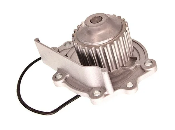motora-620260701004603644545