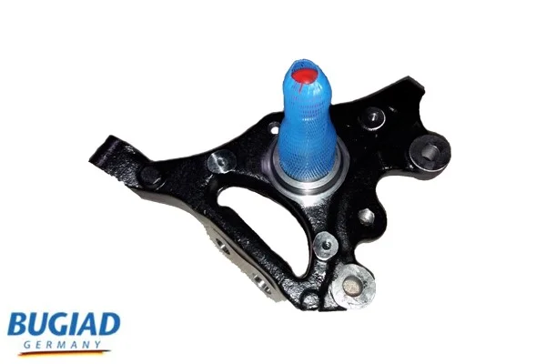 motora-620260701004738645154
