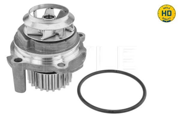 motora-620260701011741656151