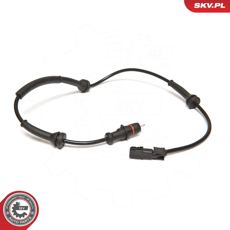 motora-620260701023752683839