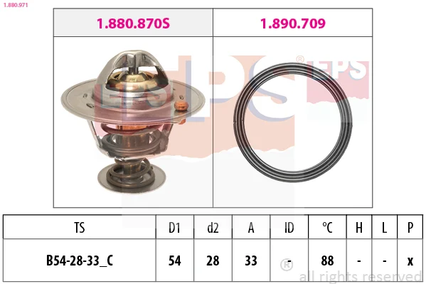 motora-620260701030839694387