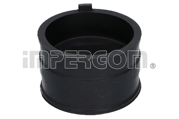 motora-620260701035753714746