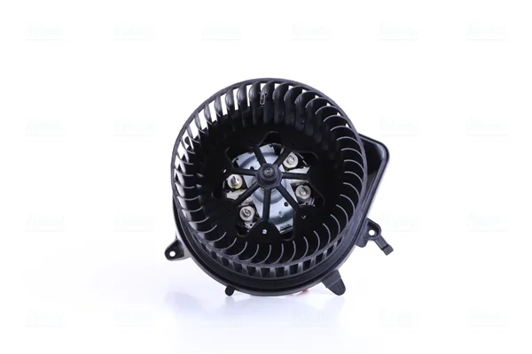 motora-620260701060309763996
