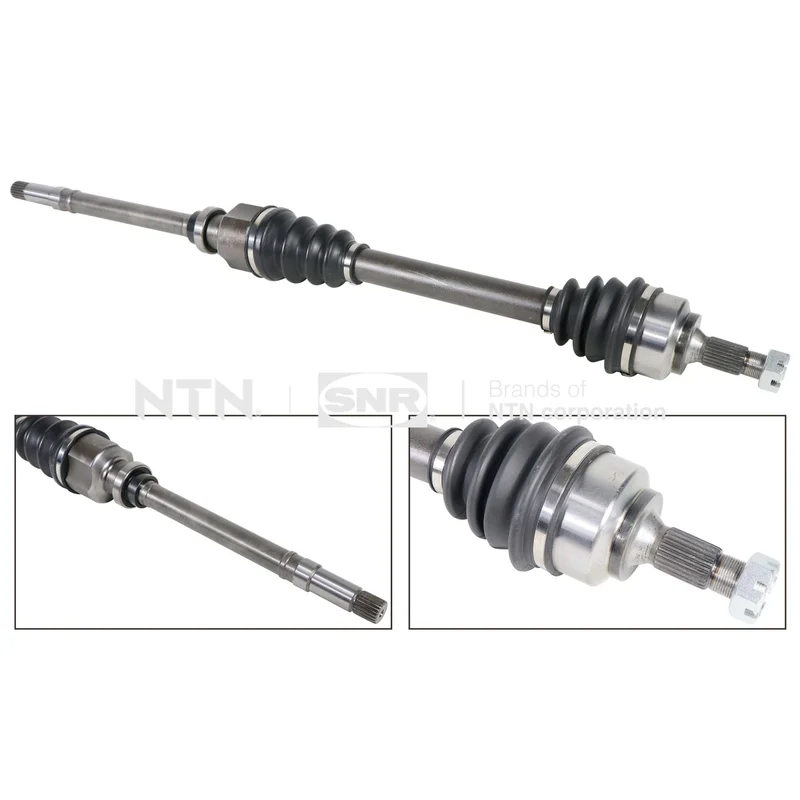 motora-620260701070242785350