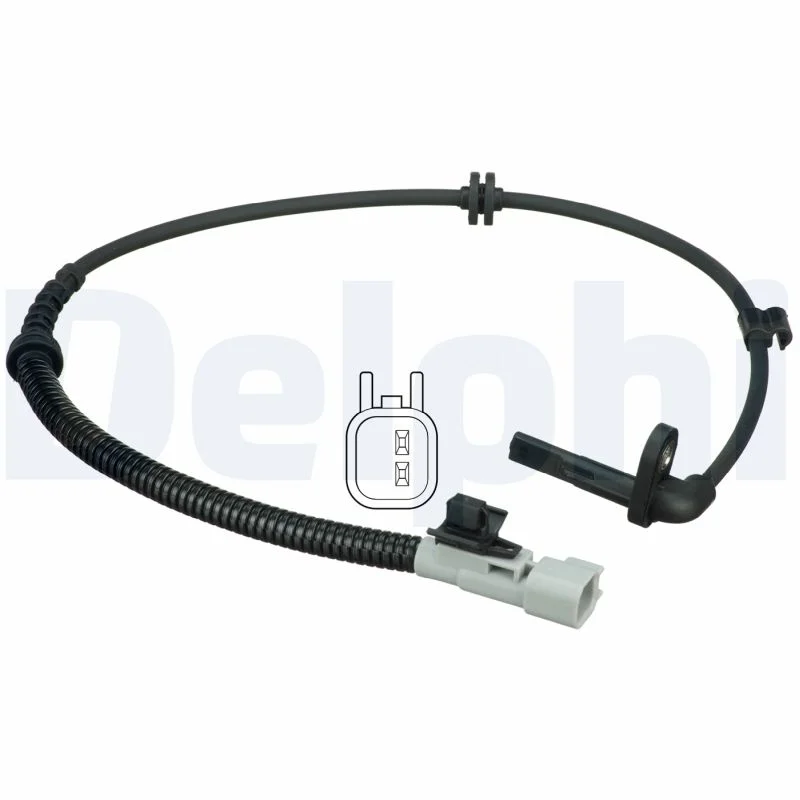 motora-620260701080818809909